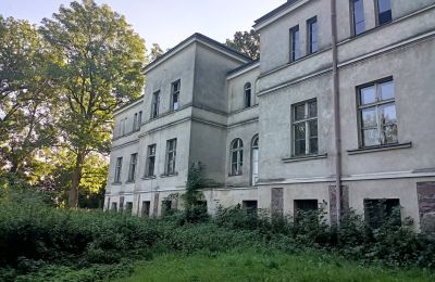 Manor House for sale Goniembice, Dwór w Goniembicach, Greater Poland, Side view