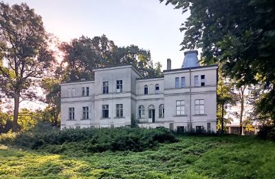 Manor House for sale Goniembice, Dwór w Goniembicach, Greater Poland, Dwór w Goniembicach 2025