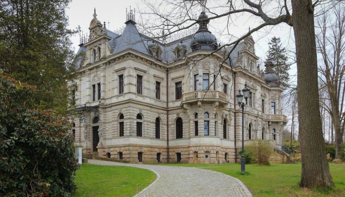 Historic Villa Šluknov 3