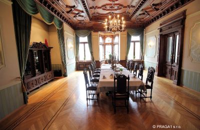 Historic Villa for sale Ústecký kraj, Image 6/17