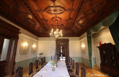 Historic Villa for sale Ústecký kraj, Image 7/17