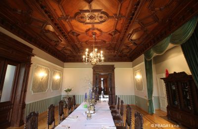 Historic Villa for sale Ústecký kraj:  