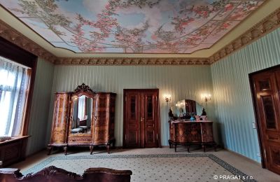 Historic Villa for sale Ústecký kraj:  