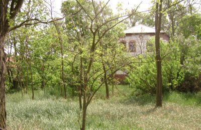 Country House for sale Pleszew, Greater Poland Voivodeship:  