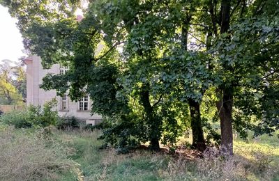 Manor House for sale Osieczna, Greater Poland, Palace Garden