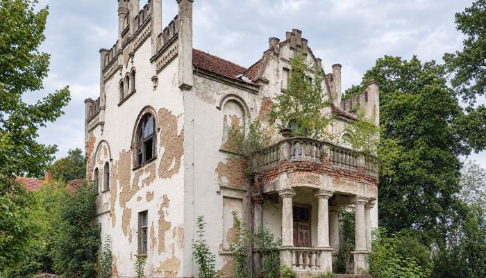 Manor house Piotrowo, Greater Poland