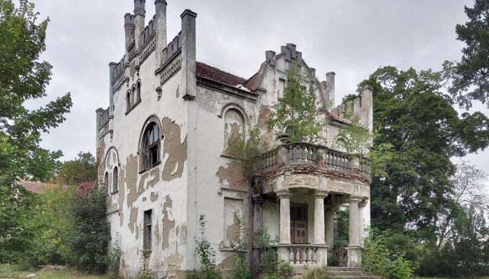 Manor estate in Piotrowo with park and outbuildings - Restoration property