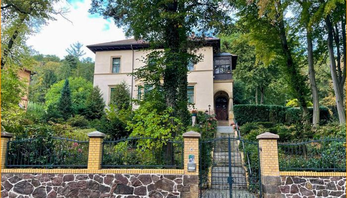 Historic Villa Waldheim 2
