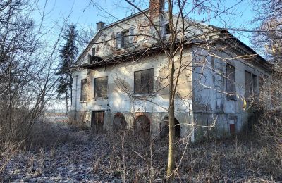 Manor House for sale Smaszew, Dwór w Smaszewie, Greater Poland, Side view