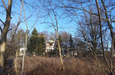 Manor House for sale Smaszew, Dwór w Smaszewie, Greater Poland, Property