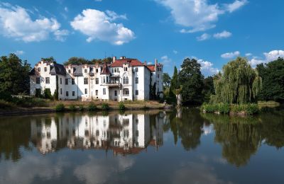 Castle for sale Dobrocin, Pałac w Dobrocinie, Lower Silesian Voivodeship:  Lake