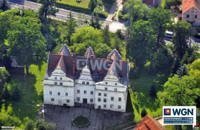 Castle for sale Wilków Wielki, Zamek w Wilkowie Wielkim, Lower Silesia,, Drone view