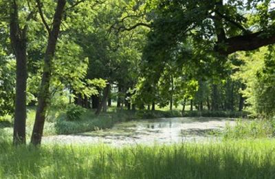 Manor house for sale Gierłachowo, Dwór w Gierłachowie 18a, Greater Poland, Image 33/34