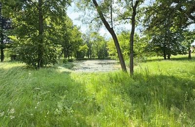 Manor house for sale Gierłachowo, Dwór w Gierłachowie 18a, Greater Poland, Image 34/34