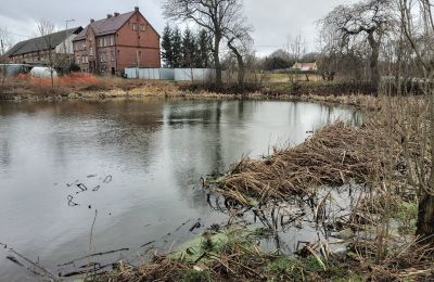 Castle for sale Bronów, Pałac w Bronowie, Lower Silesian Voivodeship:  Lake