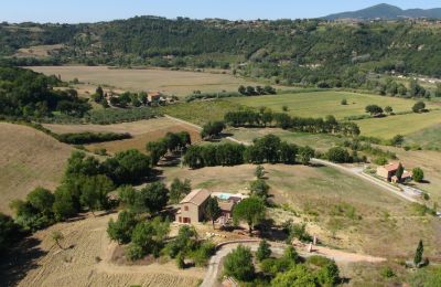 Country House for sale Montescudaio, Tuscany:  RIF 2185 Vogelperspektive