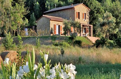 Country House for sale Montescudaio, Tuscany:  RIF 2185 Ansicht