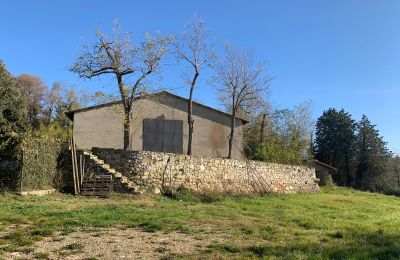 Country House for sale Castellina in Chianti, Tuscany:  RIF 2767 Scheune