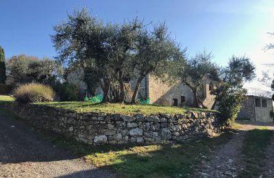 Country House for sale Castellina in Chianti, Tuscany:  RIF 2767 Olivenbäume vor dem Gebäude