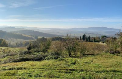 Country House for sale Castellina in Chianti, Tuscany:  RIF 2767 Ausblick