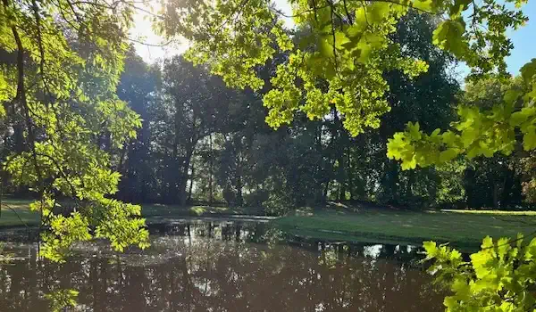 Manor park with pond, Herrenhaus Niendorf