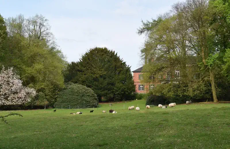 The park of Schloss Niendorf / Stecknitz near Hamburg