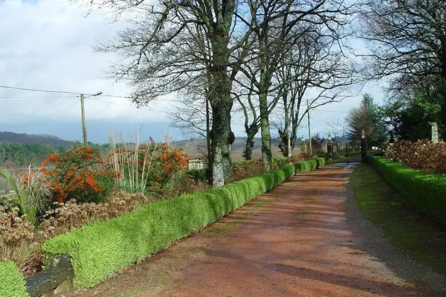 Long oak-lined avenue leading to the stone entrance of Pazo de Ferreiroá.