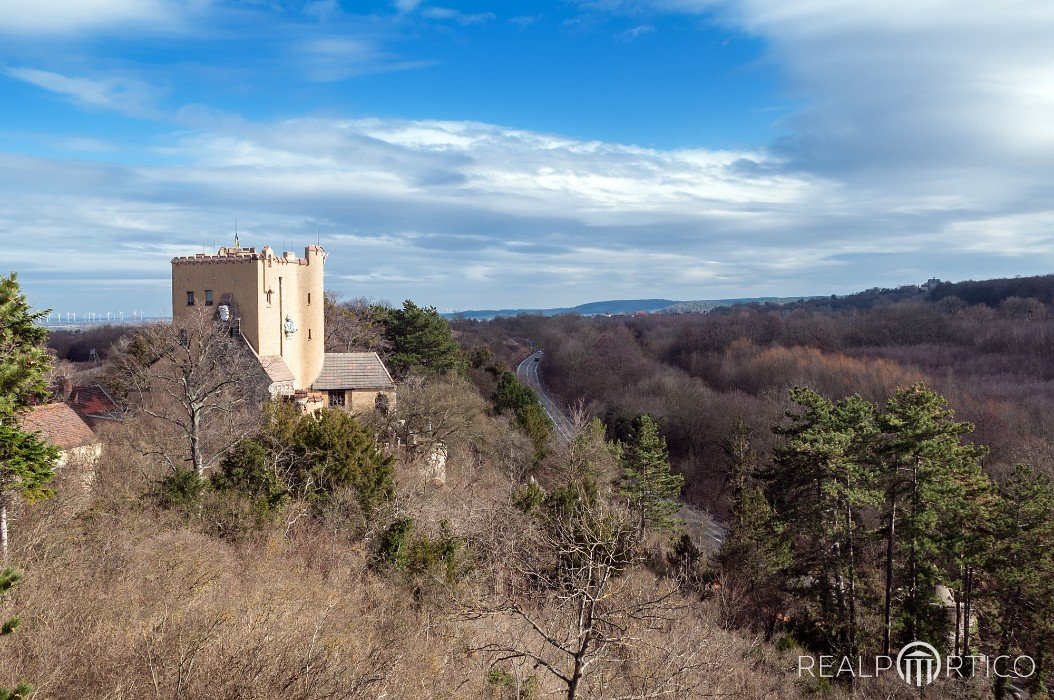 Modern Castle Roseburg near Ballenstedt, Ballenstedt