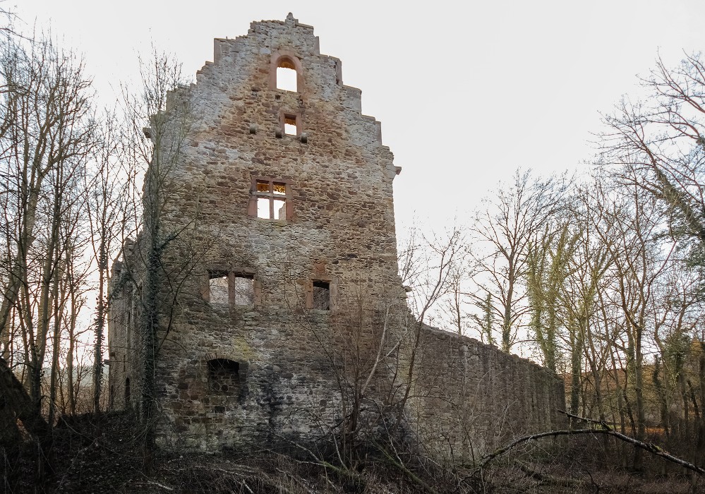 Lehrbach castle ruin, Lehrbach