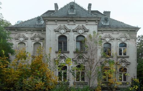 Nielęgowo, Nielęgowo - Palace in Nielęgowo - "Villa Berlin"