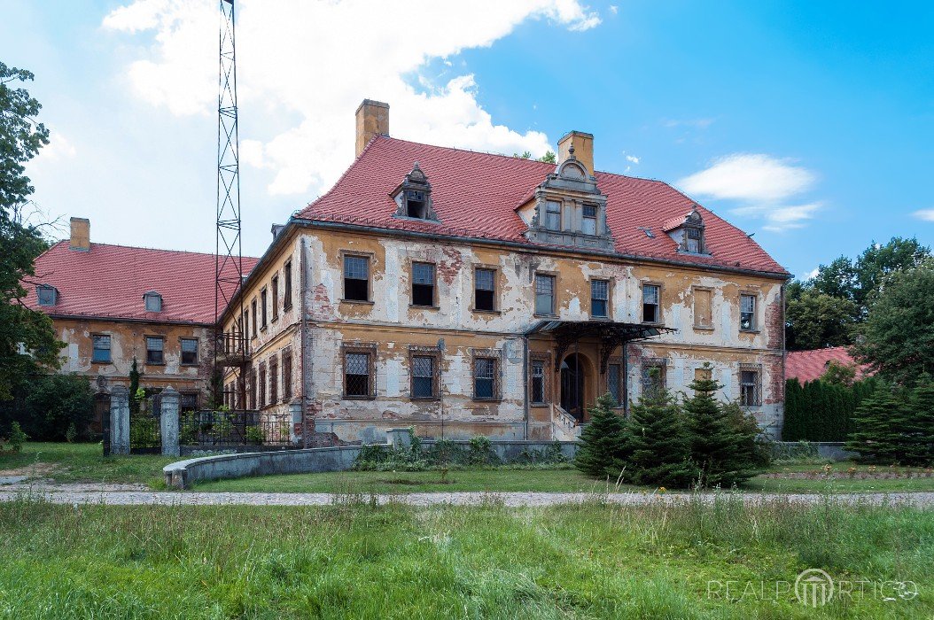 Palace in Dalków, Dalków