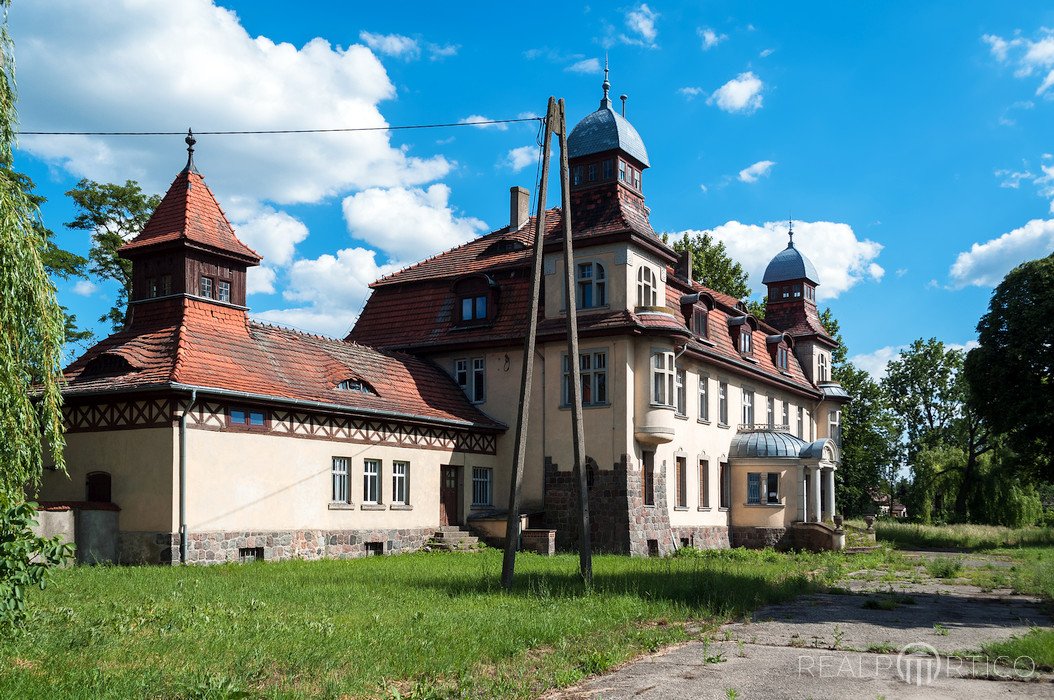 Manor in Czerlejno, Czerlejno