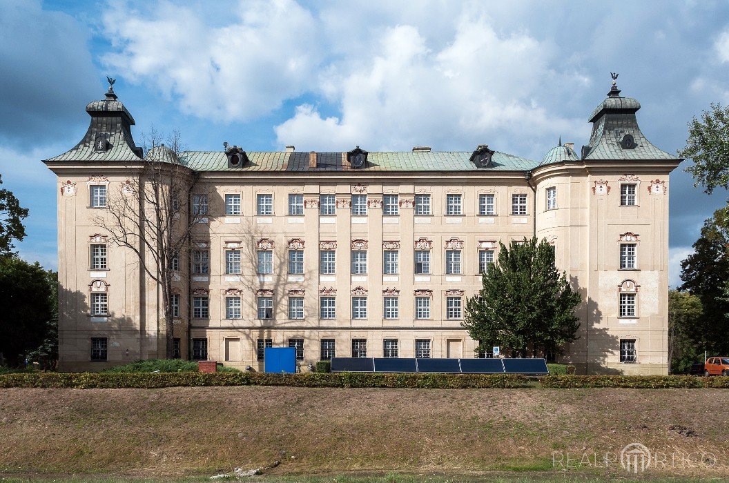 Palace in Rydzyna, Rydzyna