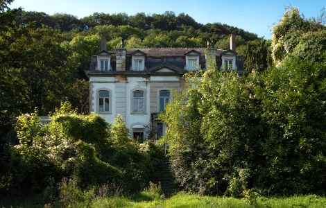  - Historical Villa in Wallonia (Hillside)
