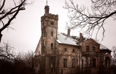 Nowy Śleszów, Dwor - Manor Ruin in Nowy Śleszów