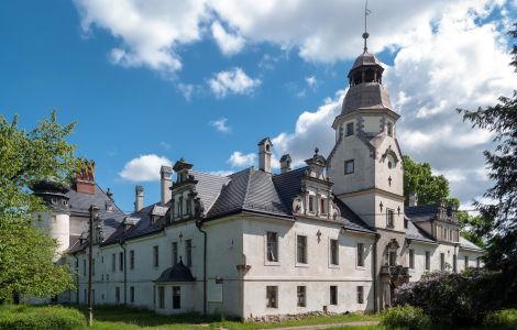  - Palace in Dąbrowa, Opole