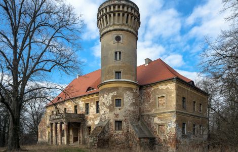  - Castle in Osetno with a new roof (2017)