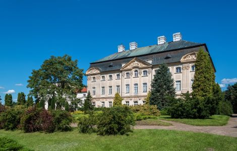  - Palace in Ciążeń