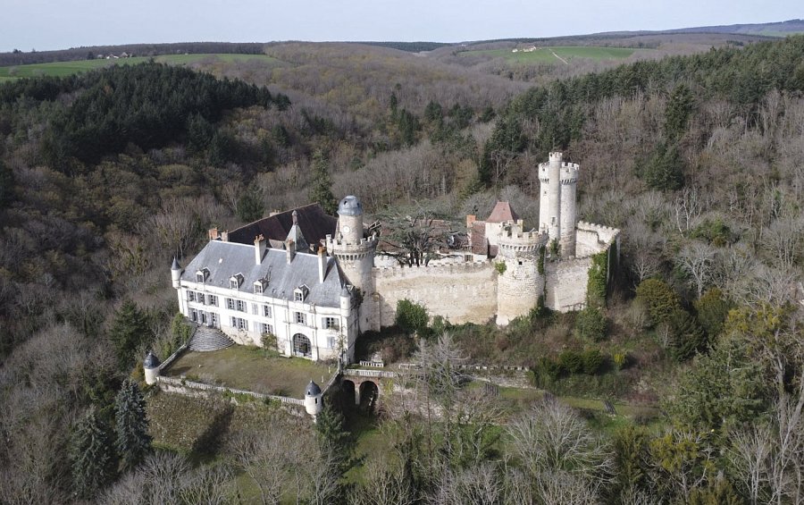 French castles for sale