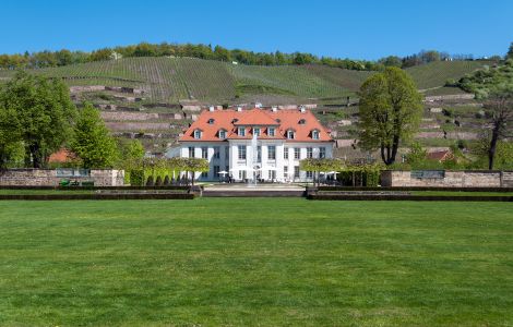 Radebeul, Wackerbarth - Wackerbarth Palace - Saxon's State Vineyard