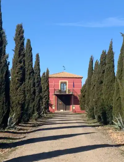 properties and real estate offers in Spain Castile-La Mancha