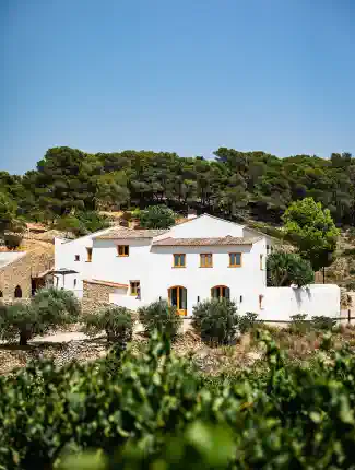 Historical Masía with vineyards in the south of Barcelona, Masllorenç, Catalonia